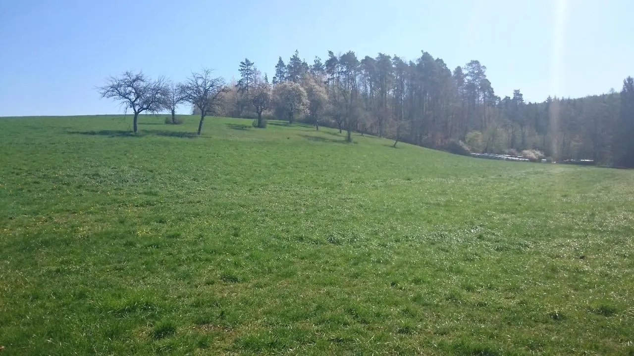 Grosse Ferienwohnung Auf Dem Pferdehof Naehe Bamberg, Coburg, Schweinfurt Burgpreppach Apartment